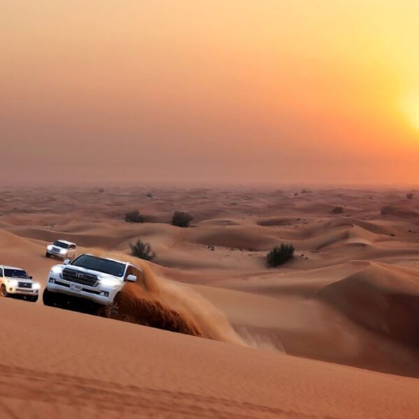 dune bashing