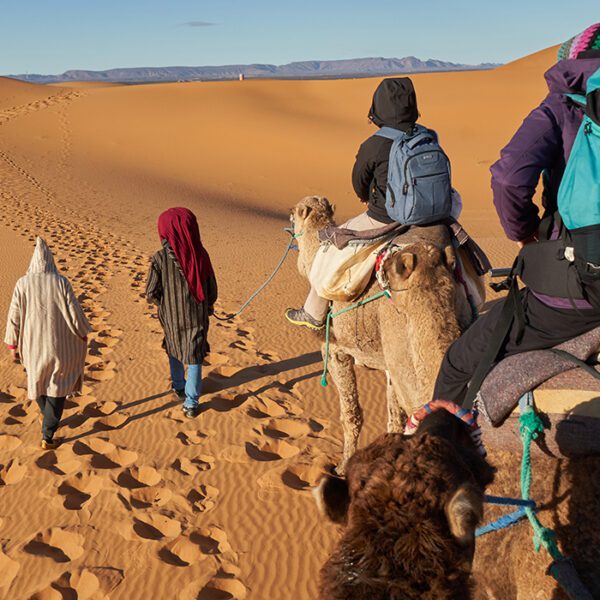 camel riding