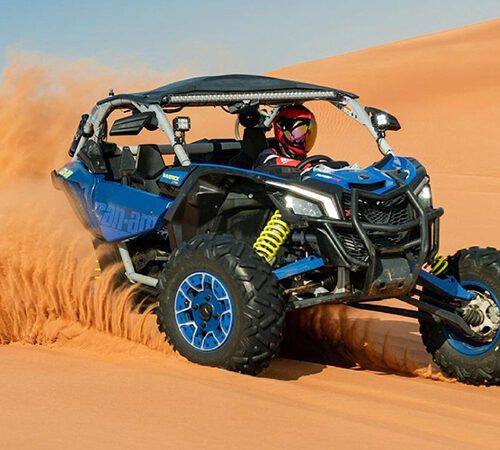 RZR 1000CC