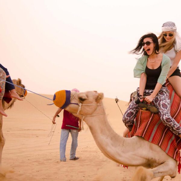 camel riding